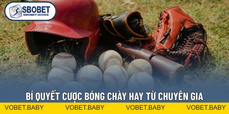 Cá Cược Bóng Chày - Luật Chơi Và Mẹo Thắng Cực Hiệu Quả - VOBET