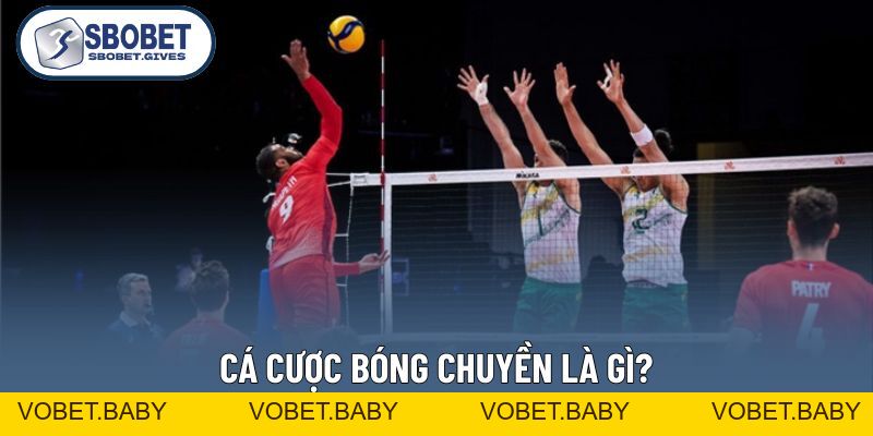 Cá Cược Bóng Chuyền - Hướng Dẫn Chơi Từ Cơ Bản Đến Nâng Cao - VOBET
