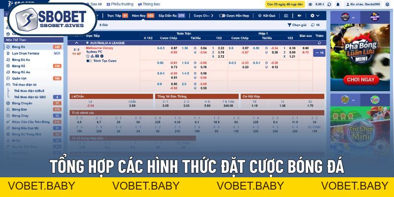 Cá Cược Bóng Đá Uy Tín, Xanh Chín Nhất Thị Trường Tại SBOBET - VOBET