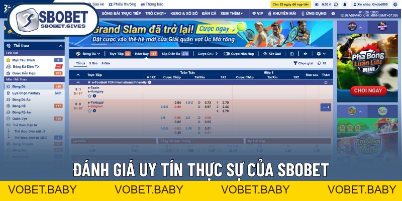 SBOBET Lừa Đảo - Vén Màn Bí Mật Đằng Sau Những Lời Tố Cáo - VOBET