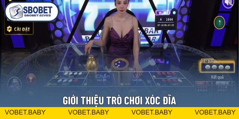 Xóc Đĩa - Bí Mật Đằng Sau Các Ván Cược Triệu Đô Kinh Điển - VOBET
