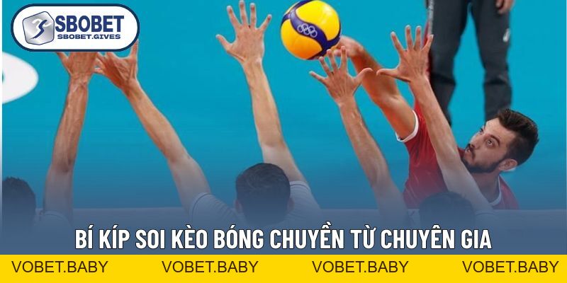 Cá Cược Bóng Chuyền - Hướng Dẫn Chơi Từ Cơ Bản Đến Nâng Cao - VOBET